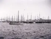 Enligt text som medföljde bilden: 