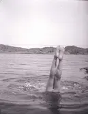 Bad i Gullmarsfjorden