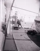 Enligt text som medföljde bilden: 