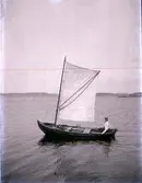 Enligt text som medföljde bilden: 