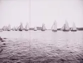 Enligt text som medföljde bilden: 