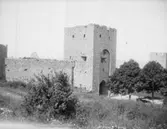 Enligt text som medföljde bilden: 