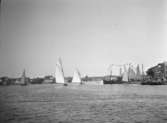 Båtar i Marstrands hamninlopp, troligen då GKSS firade 50 år, 1910