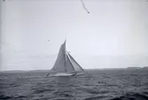 Trälastad jakt på Gullmaren 1912.