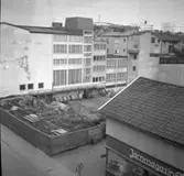 Enligt fotografens notering: 