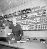 Elsas lanthandel, Rixö