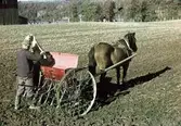 Vårbruk. Sådd med en häst och såmaskin.