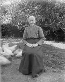 Trädgårdsvila med höns