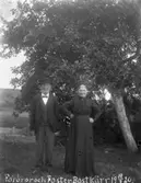 Enligt text skriven på glasplåten: 