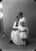 Enligt fotografens journal nr 4 1918-1922: 