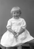 Enligt fotografens journal nr 4 1918-1922: 