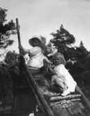 Fotografi ur familjen Lithanders album