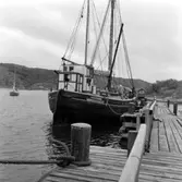 Galeasen Blenda, F40:1.