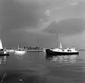 Kopia finns 7x7 (B.M.A.)