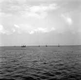 Kopia finns 7x7 (B.M.A.)