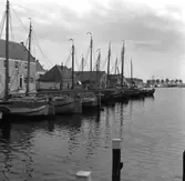 Kopia finns 7x7 (B.M.A.)