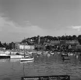 Kopia finns 7x7 (B.M.A.)