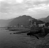 Kopia finns 7x7 (B.M.A.)