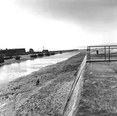 Kopia finns 7x7 (B.M.A.)