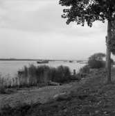 2. Nederländerna, Frankrike. Fotojournal finns på B.M.A. + fotoalbum.
Samtidigt förvärv: Böcker och arkivmaterial.
Foton tagna mellan 1959-10-12. och 1959-10-16.
12 Bilder i serie.