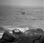 7. Frankrike. Fotojournal finns på B.M.A. + fotoalbum.
Samtidigt förvärv: Böcker och arkivmaterial.
Foton tagna 1959-10-16.
12 Bilder i serie.