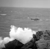 7. Frankrike. Fotojournal finns på B.M.A. + fotoalbum.
Samtidigt förvärv: Böcker och arkivmaterial.
Foton tagna 1959-10-16.
12 Bilder i serie.