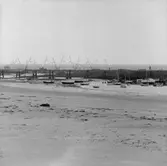 8. Frankrike. Fotojournal finns på B.M.A. + fotoalbum.
Samtidigt förvärv: Böcker och arkivmaterial.
Foton tagna mellan 1959-10-16 och 1959-10-17
12 Bilder i serie.