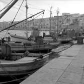 15. Italien. Fotojournal finns på B.M.A. + fotoalbum.
Samtidigt förvärv: Böcker och arkivmaterial.
Foton tagna 1959-10-28.
12 Bilder i serie.