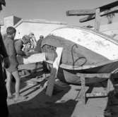 17. Italien. Fotojournal finns på B.M.A. + fotoalbum.
Samtidigt förvärv: Böcker och arkivmaterial.
Foton tagna mellan 1959-10-28 och 1959-10-29.
12 Bilder i serie.