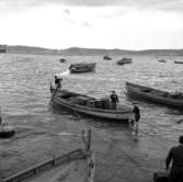 19. Italien. Fotojournal finns på B.M.A. + fotoalbum.
Samtidigt förvärv: Böcker och arkivmaterial.
Foton tagna 1959-10-30.
12 Bilder i serie.