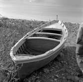 20. Italien. Fotojournal finns på B.M.A. + fotoalbum.
Samtidigt förvärv: Böcker och arkivmaterial.
Foton tagna mellan 1959-10-31 och 1959-11-01.
12 Bilder i serie.