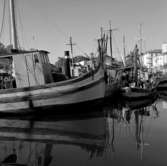 22. Italien. Fotojournal finns på B.M.A. + fotoalbum.
Samtidigt förvärv: Böcker och arkivmaterial.
Foton tagna mellan 1959-11-02 och 1959-11-04. 
12 Bilder i serie.