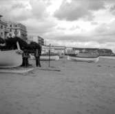 23. Italien. Fotojournal finns på B.M.A. + fotoalbum.
Samtidigt förvärv: Böcker och arkivmaterial.
Foton tagna 1959-11-04.
11 Bilder i serie.