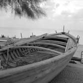 24. Italien. Fotojournal finns på B.M.A. + fotoalbum.
Samtidigt förvärv: Böcker och arkivmaterial.
Foton tagna mellan 1959-11-04 och 1959-11-05.
12 Bilder i serie.