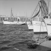 27. Frankrike. Fotojournal finns på B.M.A. + fotoalbum.
Samtidigt förvärv: Böcker och arkivmaterial.
Foton tagna 1959-11-05.
10 Bilder i serie.