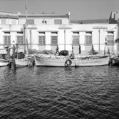 29. Frankrike. Fotojornal finns på B.M.A. + fotoalbum.
Samtidigt förvärv: Böcker och arkivmaterial.
Foton tagna 1959-11-06.
12 Bilder i serie.