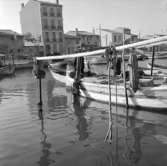 30. Frankrike. Fotojournal finns på B.M.A. + fotoalbum.
Samtidigt förvärv: Böcker och arkivmaterial.
Foton tagna 1959-11-06.
12 Bilder i serie.