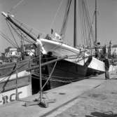 33. Spanien. Fotojournal finns på B.M.A. + fotoalbum.
Samtidigt förvärv: Böcker och arkivmaterial.
Foton tagna 1959-11-07.
12 Bilder i serie.