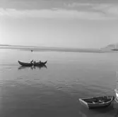 44. Spanien, Portugal. Fotojournal finns på B.M.A. + fotoalbum.
Samtidigt förvärv: Böcker och arkivmaterial.
Foton tagna mellan 1959-11-13 och 1959-11-15.
12 Bilder i serie.