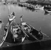45. Portugal. Fotojournal finns på B.M.A. + fotoalbum.
Samtidigt förvärv: Böcker och arkivmaterial.
Foton tagna 1959-11-15.
12 Bilder i serie.