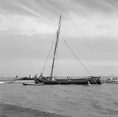 48. Portugal. Foto jornal finns på B.M.A. + fotoalbum.
Samtidigt förvärv: Böcker och arkivmaterial.
Foton tagna mellan 1959-11-15 och 1959-11-16.
12 Bilder i serie.