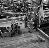 49. Portugal. Foto jornal finns på B.M.A. + fotoalbum.
Samtidigt förvärv: Böcker och arkivmaterial.
Foton tagna 1959-11-16.
12 Bilder i serie.