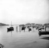 Skrivet på baksidan: Langesund, mellan Tigene og Hvasser. 9/8 1966. A. 3185.
Stämplat på baksidan: Henning Henningsen, museumsinspektör, dr. phil.