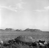 Skrivet på baksidan: Stavern, gamle Mogshavn (?), 11/8 1966, A 3189
Stämplat på baksidan: Henning Henningsen, museumsinspektör, dr. phil.