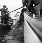 Stämplat på baksidan: 