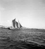 Stämplat på baksidan: 850.