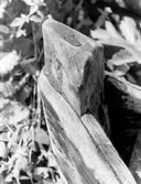 Stämplat på baksidan: 