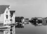 Skrivet på baksidan: Skindneshavn 22/8 1967
Fotograf: Henning Henningsen
Fotot taget: 1967-08-22