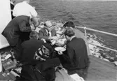 Skrivet på baksidan: Skaffning ombord 28/8 1967
Gruppen fra vanster: Vea, Notini, Haär. Pettersen, Erling Eriksen, Thoresn
Fotograf: Henning Henningsen
Fotot taget: 1967-08-28