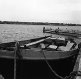 Skrivet på baksidan: Liljas
Fotot är taget: 1960-08-09